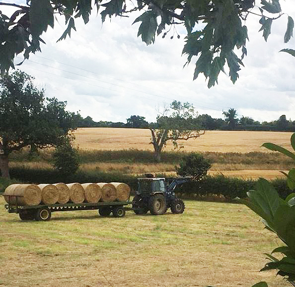 Making-hay